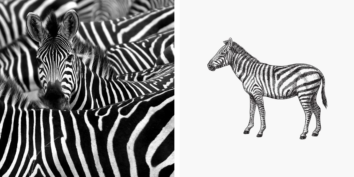 Café Prado 咖啡品牌形象設計