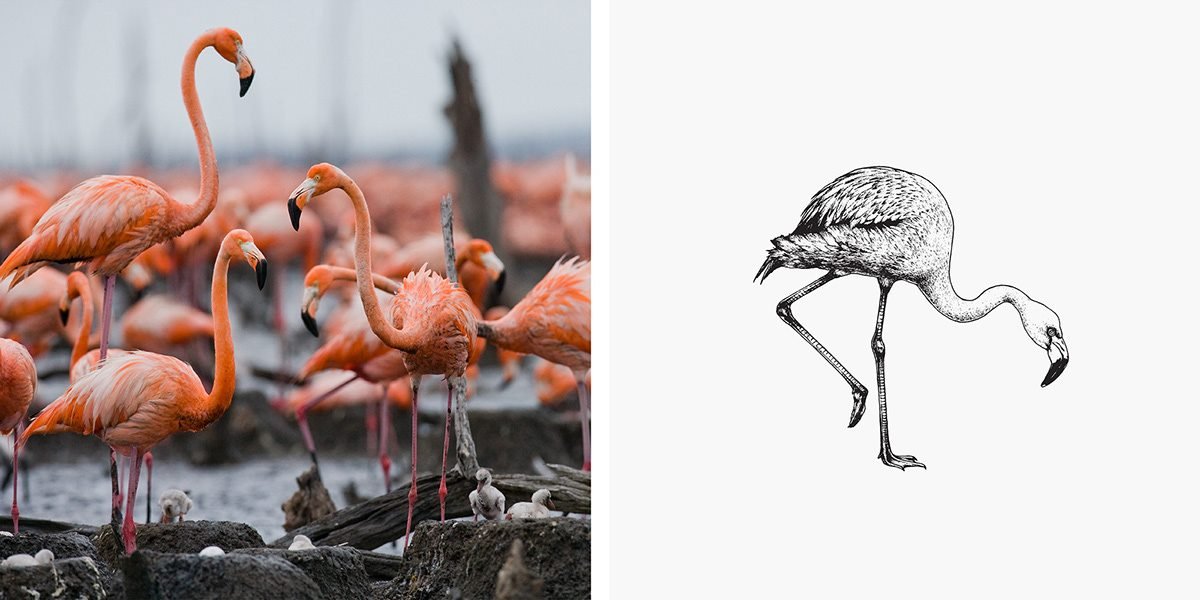 Café Prado 咖啡品牌形象設計 插畫設計