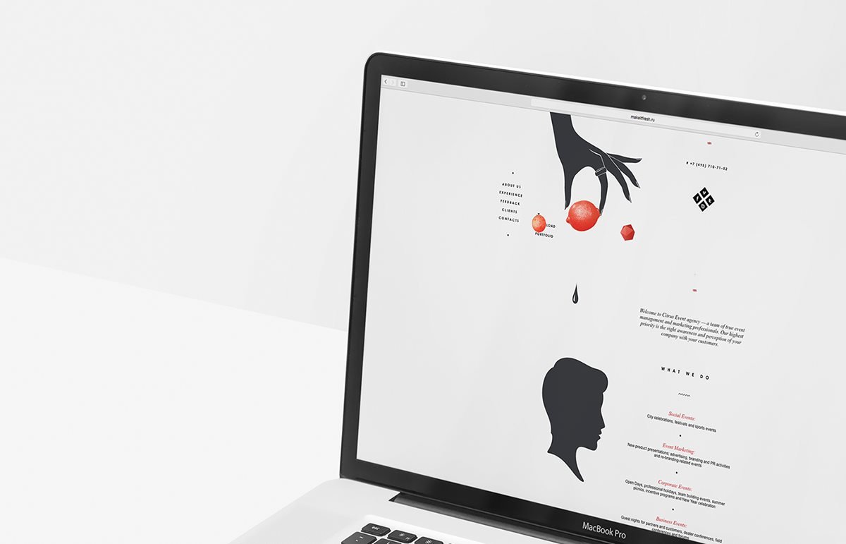 柑橘網站VI識別系統 網站設計展示