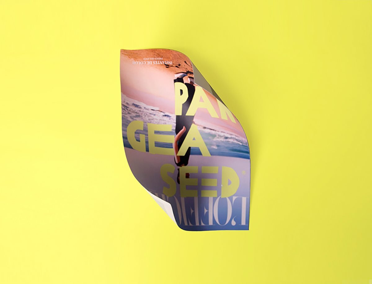 “PangeaSeed”時尚周刊VI設計形象 單頁設計展示