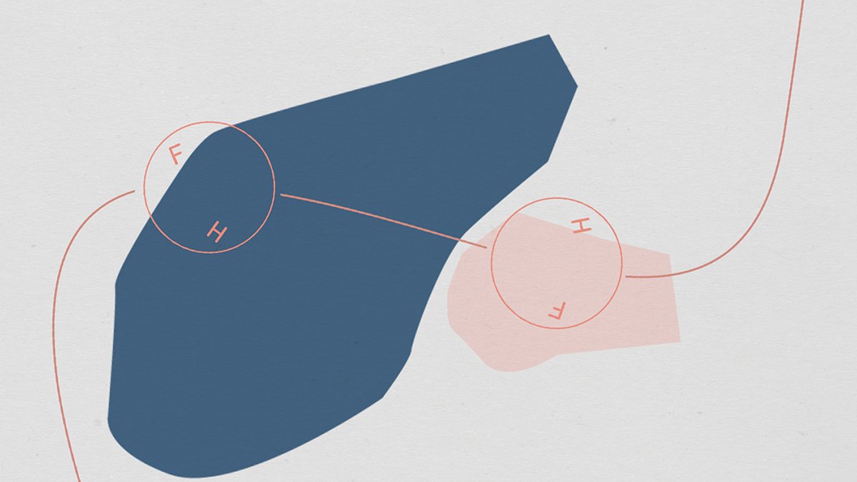 Four Heads在線網絡平臺VI設計 輔助圖形設計