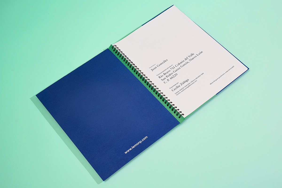 深圳VI設(shè)計(jì) 深圳VI策劃 檸檬房地產(chǎn)VI形象設(shè)計(jì) 單頁(yè)設(shè)計(jì)