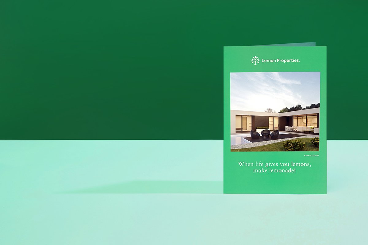 深圳VI設(shè)計(jì) 深圳VI策劃 檸檬房地產(chǎn)VI形象設(shè)計(jì) 畫冊(cè)設(shè)計(jì)