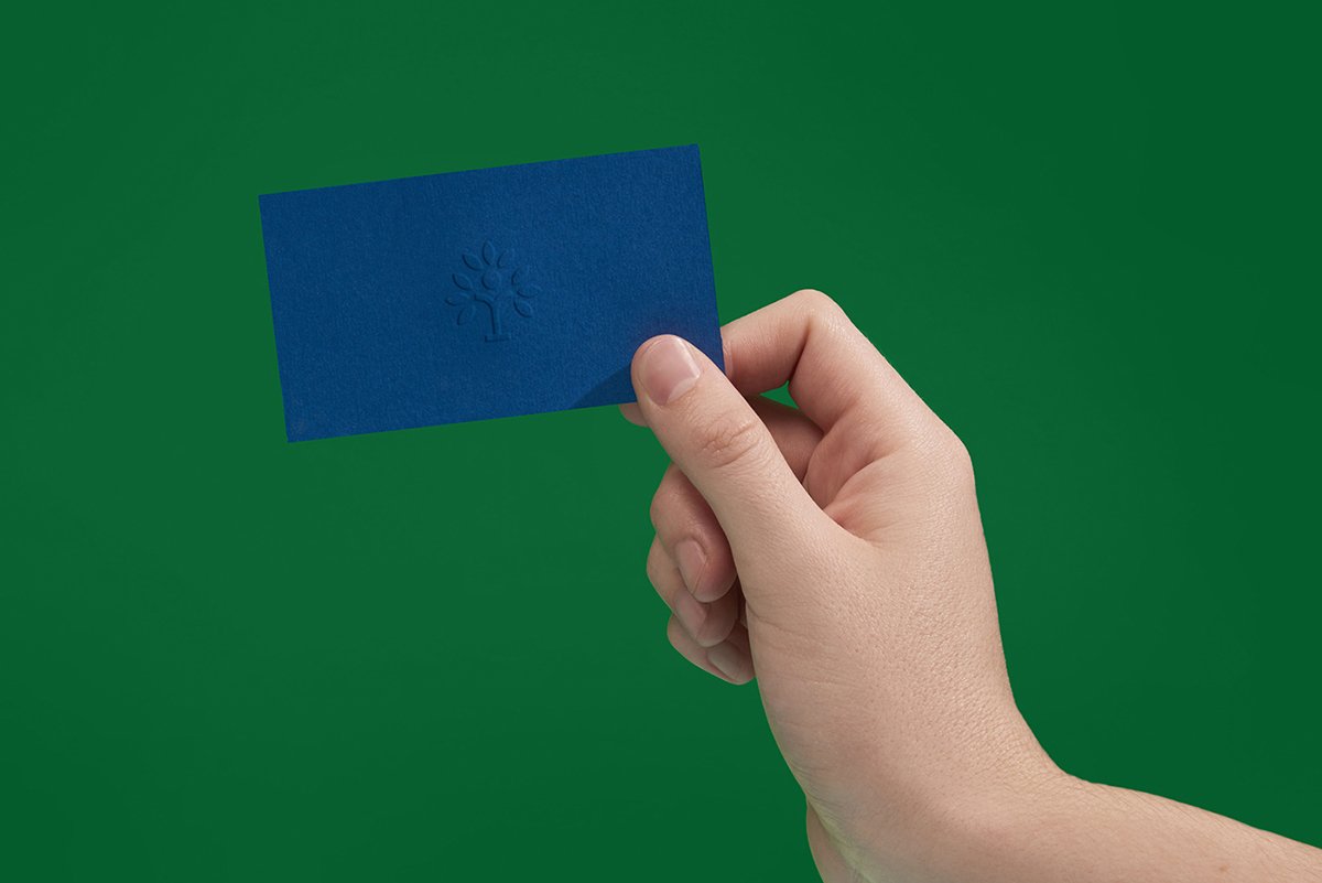 深圳VI設(shè)計(jì) 深圳VI策劃 檸檬房地產(chǎn)VI形象設(shè)計(jì) 名片設(shè)計(jì)