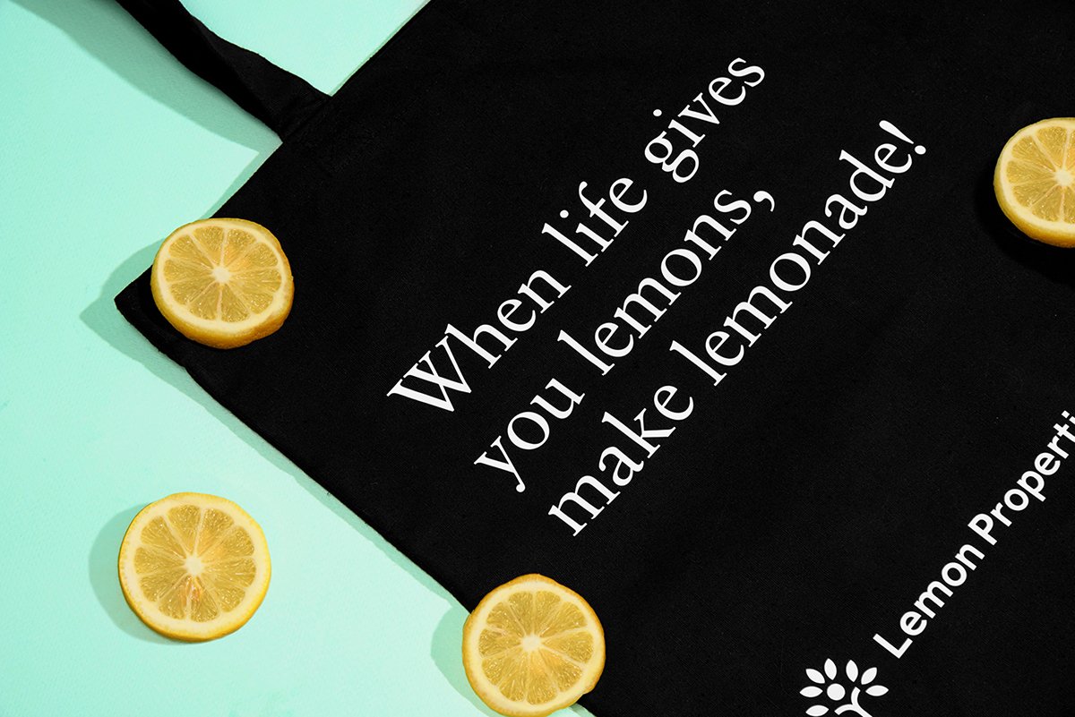 深圳VI設(shè)計(jì) 深圳VI策劃 檸檬房地產(chǎn)VI形象設(shè)計(jì) 手提袋設(shè)計(jì)