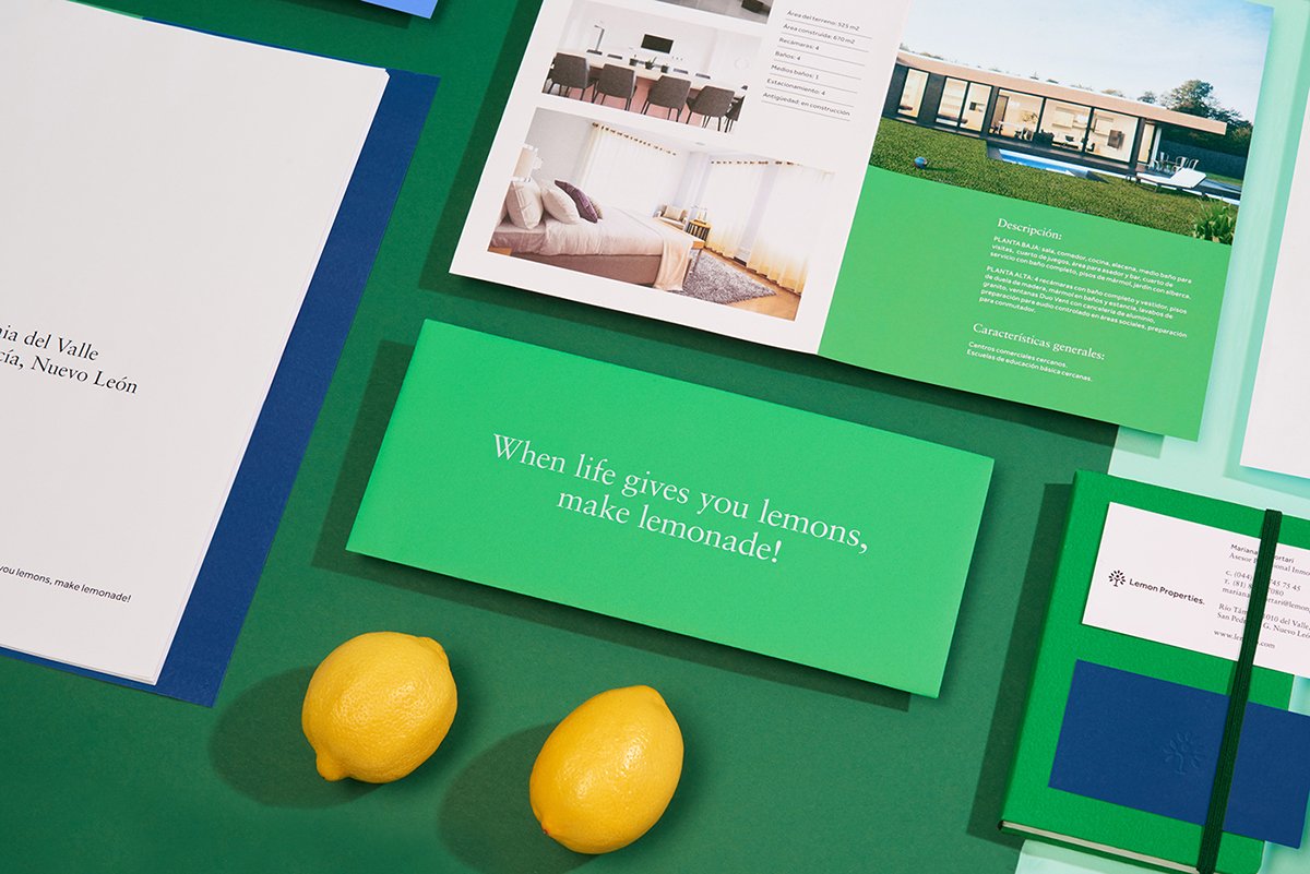 深圳VI設(shè)計(jì) 深圳VI策劃 檸檬房地產(chǎn)VI形象設(shè)計(jì) 單頁(yè)設(shè)計(jì)