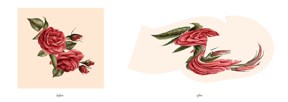 深圳VI設計 深圳VI策劃 茶查理花茶VI形象設計 插畫設計