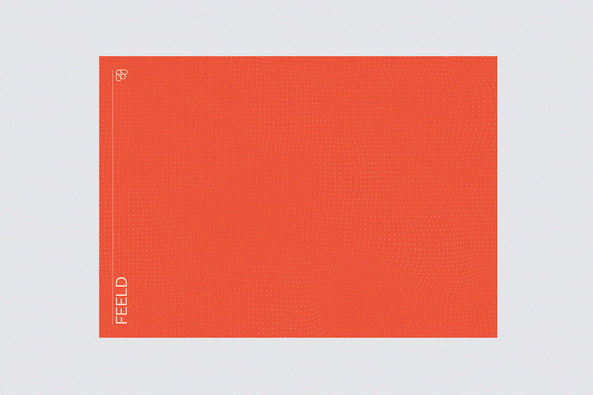 深圳VI設計 深圳VI策劃 Feeld網絡平臺VI設計 動態展示