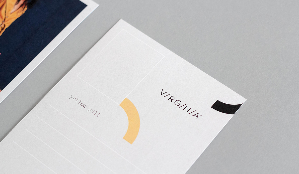 深圳VI設計 深圳VI策劃 弗吉尼亞州女裝VI形象設計 單頁設計