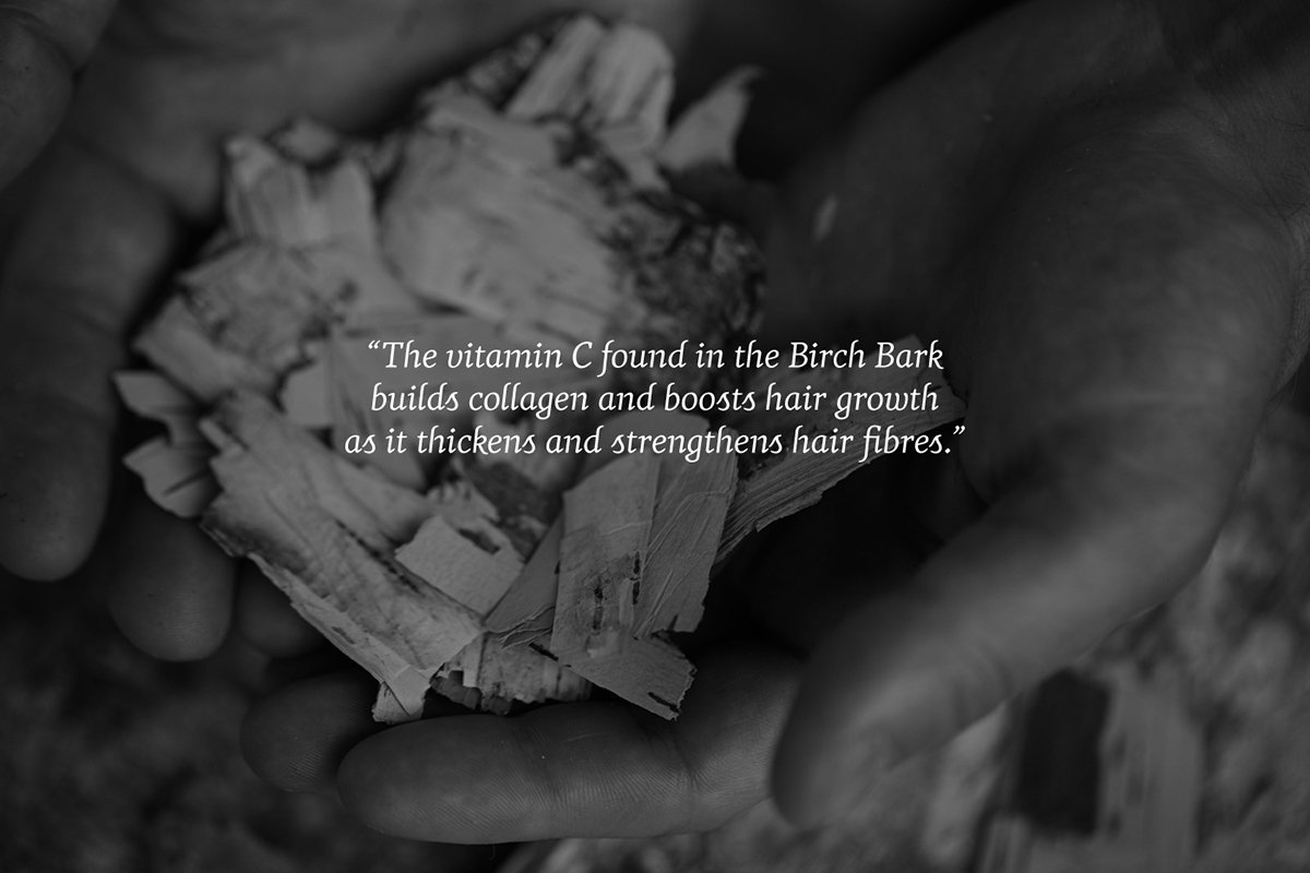 個性理念在護理品牌vi設計中的的體現 vi設計、品牌設計、標志設計、名片設計、包裝設計、品牌形象設計、護理品牌形象