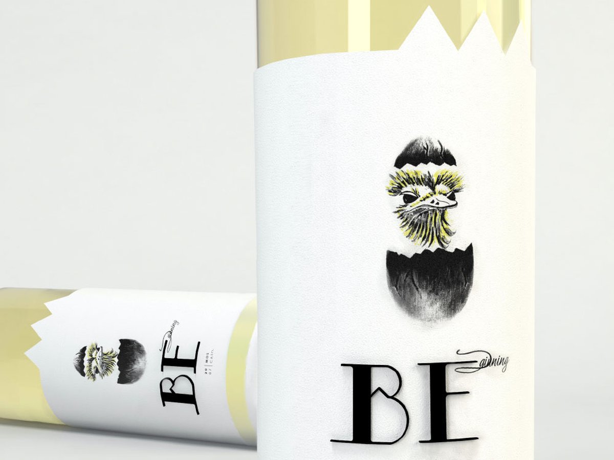 品牌設(shè)計、vi設(shè)計、包裝設(shè)計、標志設(shè)計、標簽設(shè)計、葡萄酒包裝設(shè)計