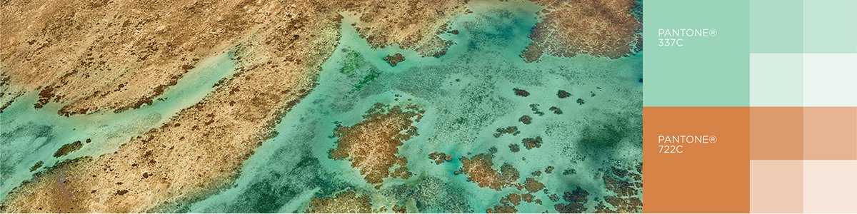 Miavana沙灘生態(tài)保護區(qū)品牌VI設計欣賞 Miavana沙灘生態(tài)保護區(qū)品牌VI設計欣賞,旅游景點品牌VI設計,深圳VI設計,深圳品牌視覺識別設計,名片設計,標志設計,畫冊設計,左右格局