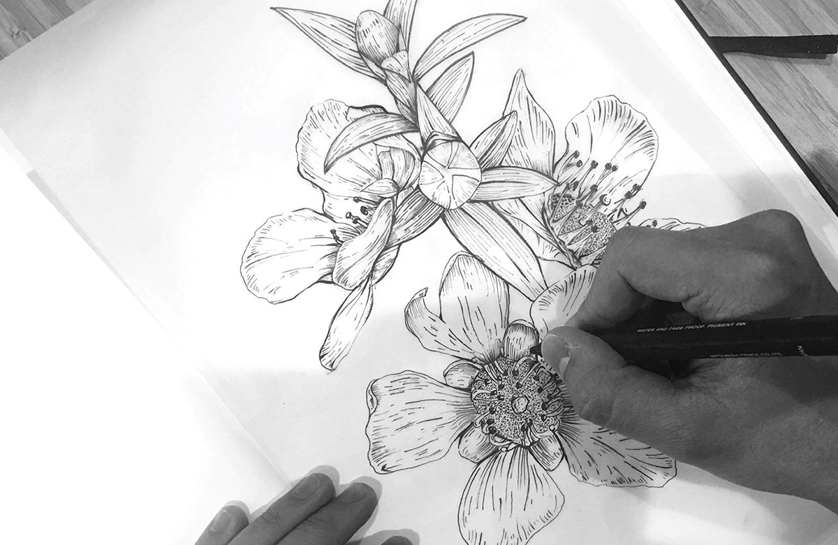 MānukaHoney蜂蜜風(fēng)味葡萄酒品牌包裝設(shè)計(jì)欣賞，葡萄酒品牌，酒品牌設(shè)計(jì)，酒品牌策劃，酒品牌全案策劃，酒品牌形象塑造，深圳品牌設(shè)計(jì)，深圳品牌策劃，深圳品牌全案策劃，深圳品牌形象塑造，左右格局