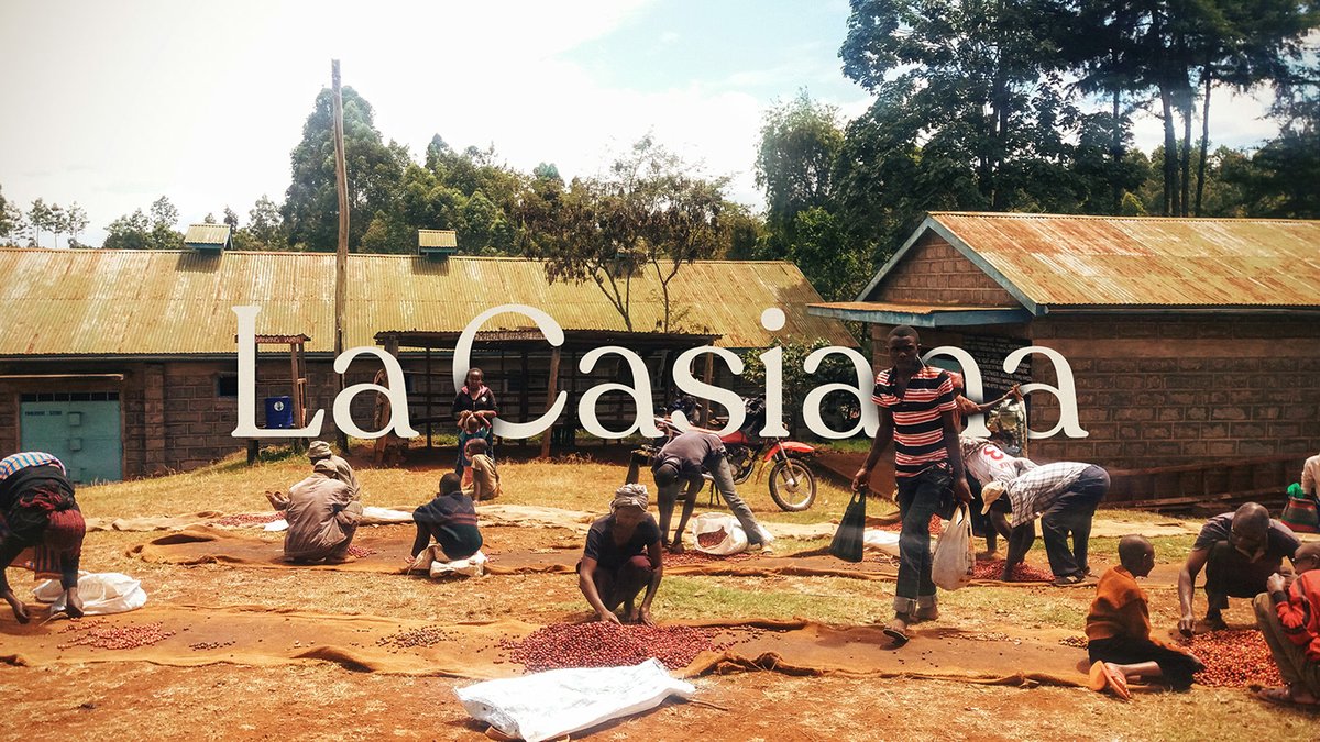 La Casiana咖啡店品牌vi設計和包裝設計 La Casiana咖啡店品牌vi設計和包裝設計,vi設計,品牌vi設計,咖啡店vi設計,咖啡店包裝設計,咖啡店品牌vi,品牌vi設計和包裝設計,深圳vi設計,左右格局