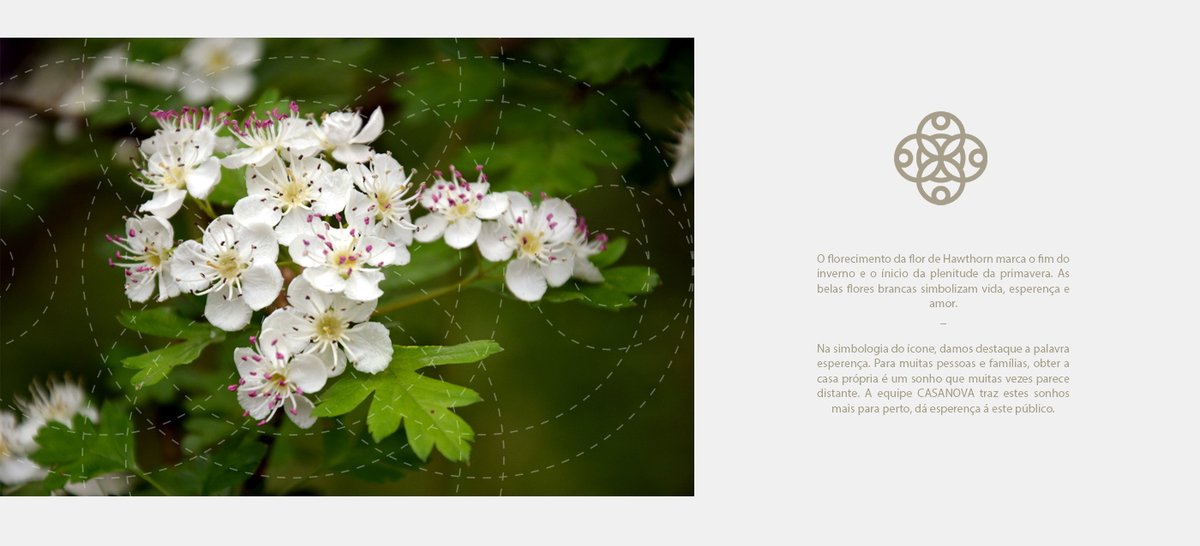 Casanova房地產企業形象vi設計及品牌標識 Casanova房地產企業形象vi設計及品牌標識,vi設計,企業形象vi設計,房地產企業品牌vi設計,品牌標識,企業vi設計,vi品牌策劃,深圳vi設計,左右格局