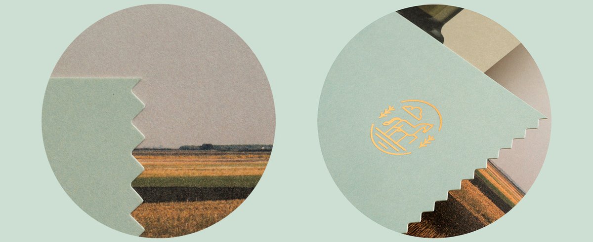 （餐飲）OLGA南瓜籽油品牌包裝vi設(shè)計欣賞，vi設(shè)計，包裝vi設(shè)計，餐飲品牌vi設(shè)計，餐飲vi設(shè)計，品牌包裝vi設(shè)計，品牌vi設(shè)計，vi品牌策劃，深圳vi設(shè)計，左右格局