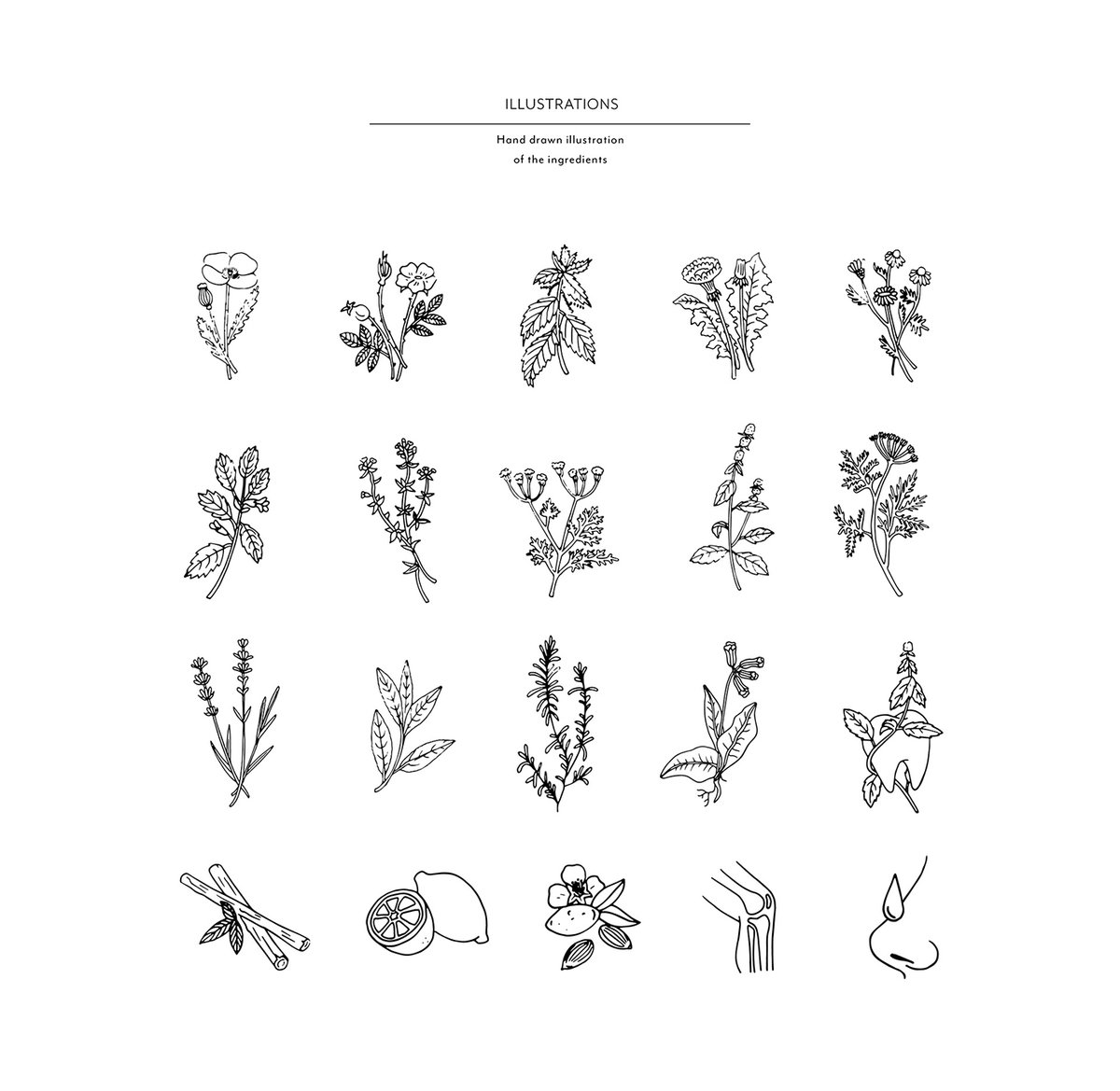 (醫(yī)療)Aeskulap 藥房企業(yè)vi設(shè)計(jì)——運(yùn)用包裝設(shè)計(jì)重塑品牌 (醫(yī)療)Aeskulap 藥房企業(yè)vi設(shè)計(jì)——運(yùn)用包裝設(shè)計(jì)重塑品牌,vi設(shè)計(jì),醫(yī)療企業(yè)vi設(shè)計(jì),企業(yè)品牌vi設(shè)計(jì),品牌包裝,企業(yè)vi設(shè)計(jì),品牌策劃,深圳vi設(shè)計(jì),左右格局