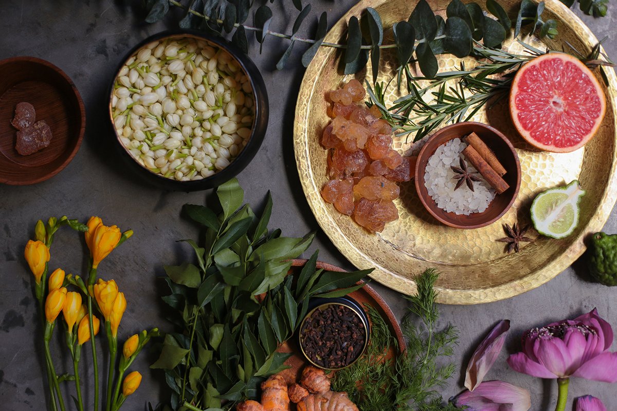 Banyan Tree企業品牌vi設計——護理品品牌視覺形象展示 Banyan Tree企業品牌vi設計——護理品品牌視覺形象展示,vi設計,企業形象vi設計,企業品牌vi設計,品牌包裝,品牌視覺形象設計,企業vi設計,深圳品牌策劃,深圳vi設計,左右格局