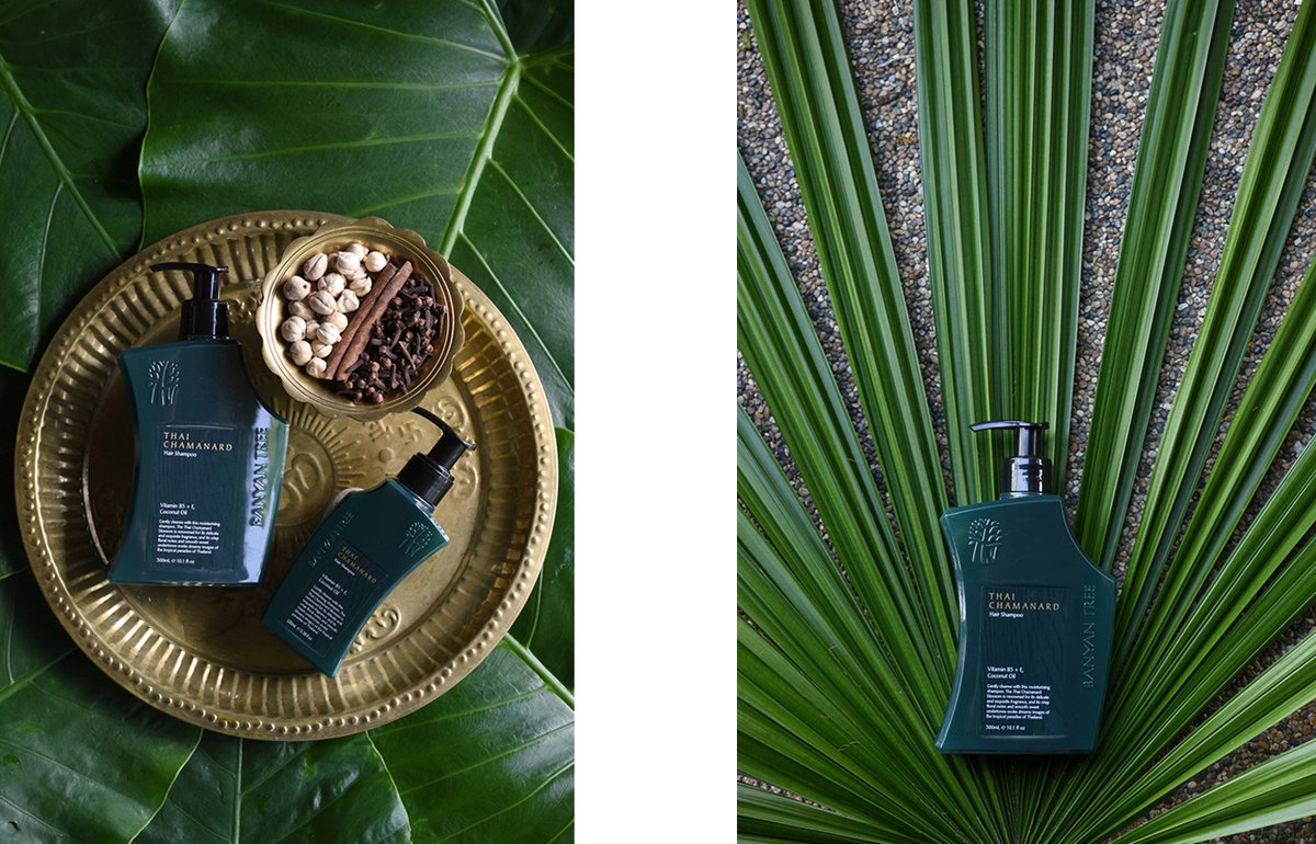 Banyan Tree企業品牌vi設計——護理品品牌視覺形象展示 Banyan Tree企業品牌vi設計——護理品品牌視覺形象展示,vi設計,企業形象vi設計,企業品牌vi設計,品牌包裝,品牌視覺形象設計,企業vi設計,深圳品牌策劃,深圳vi設計,左右格局