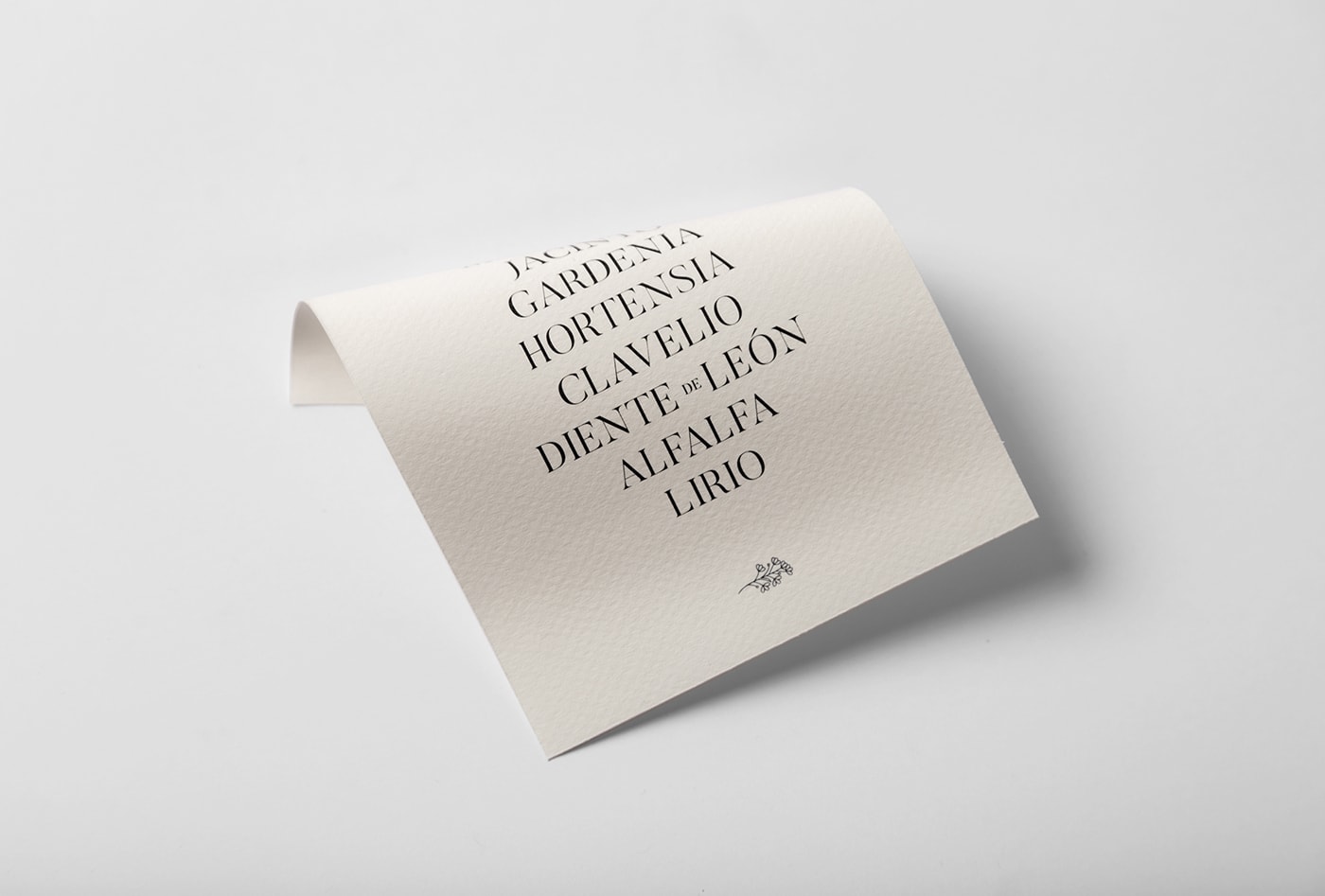 Casa Silvestre浪漫花店品牌logo設(shè)計與VI視覺設(shè)計，酒店VI設(shè)計，品牌視覺設(shè)計，企業(yè)VI設(shè)計，深圳VI設(shè)計，左右格局