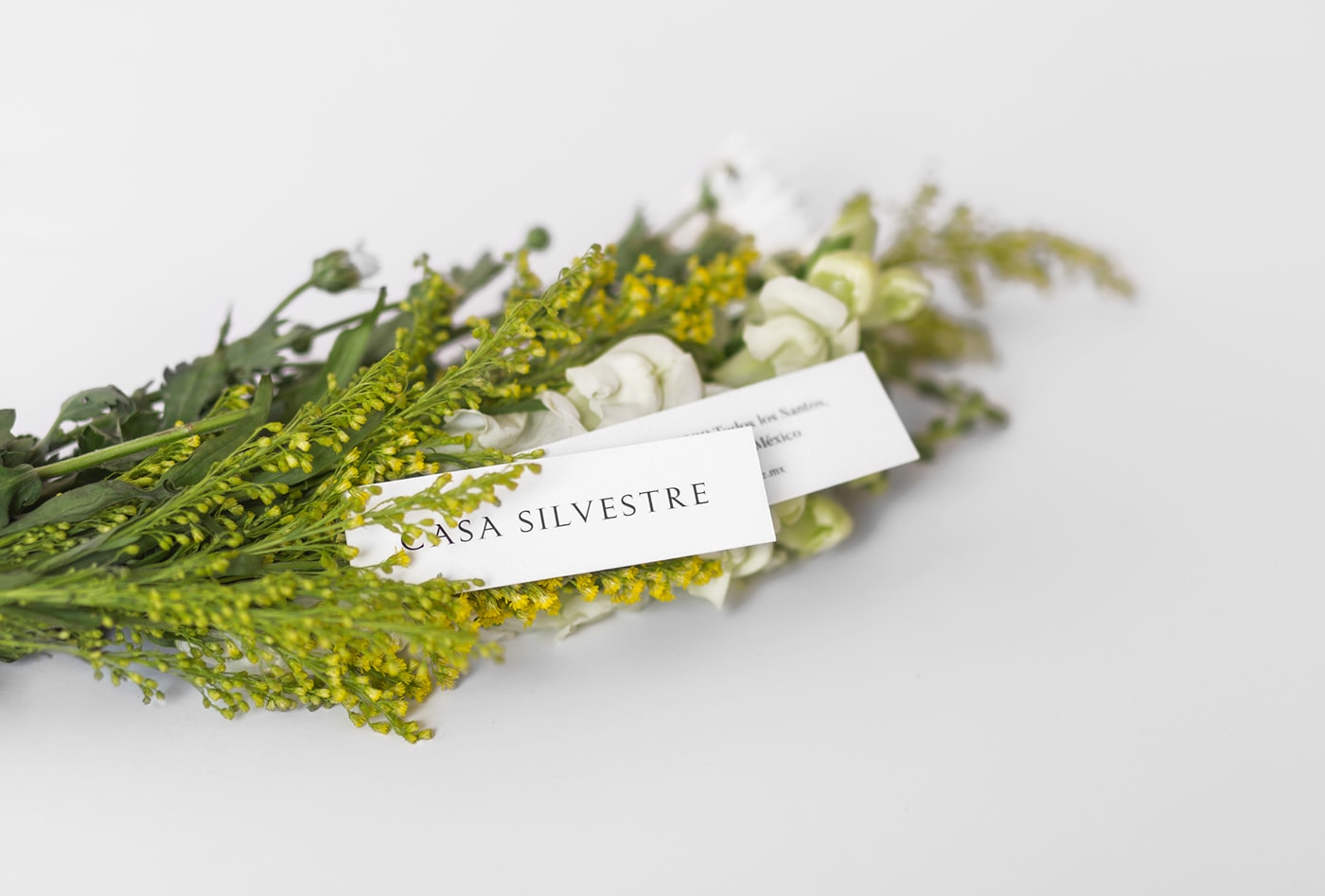 Casa Silvestre浪漫花店品牌logo設(shè)計與VI視覺設(shè)計，酒店VI設(shè)計，品牌視覺設(shè)計，企業(yè)VI設(shè)計，深圳VI設(shè)計，左右格局