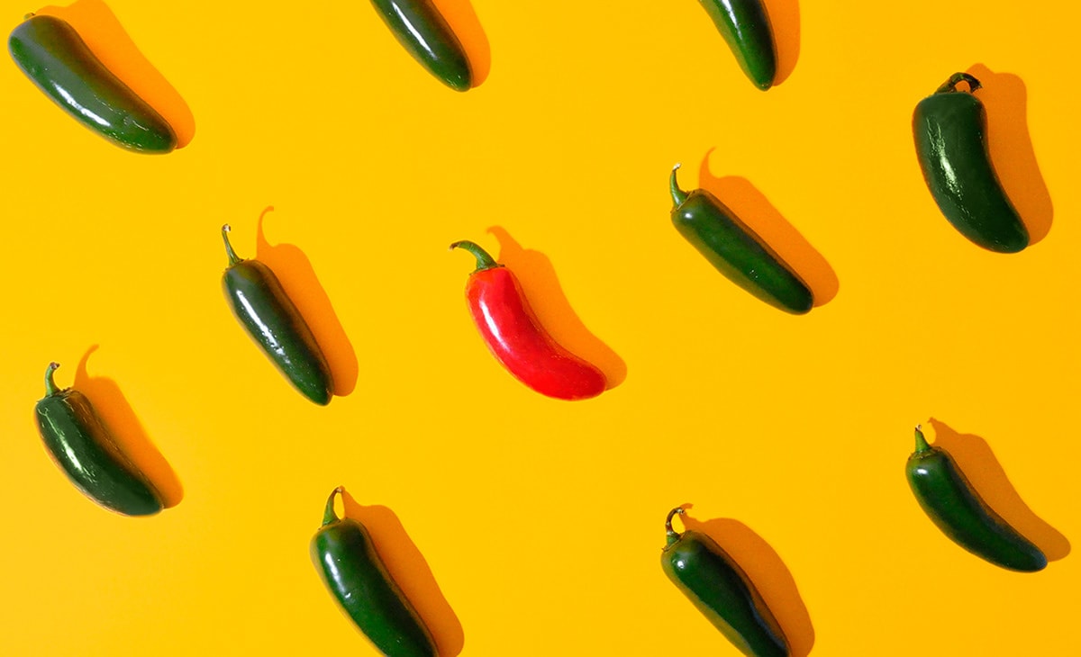 墨西哥Torta Bendita食品蛋糕店品牌VI形象設(shè)計欣賞 墨西哥Torta Bendita食品蛋糕店品牌VI形象設(shè)計欣賞,食品VI設(shè)計,食品包裝設(shè)計,食品品牌設(shè)計,深圳VI設(shè)計,左右格局