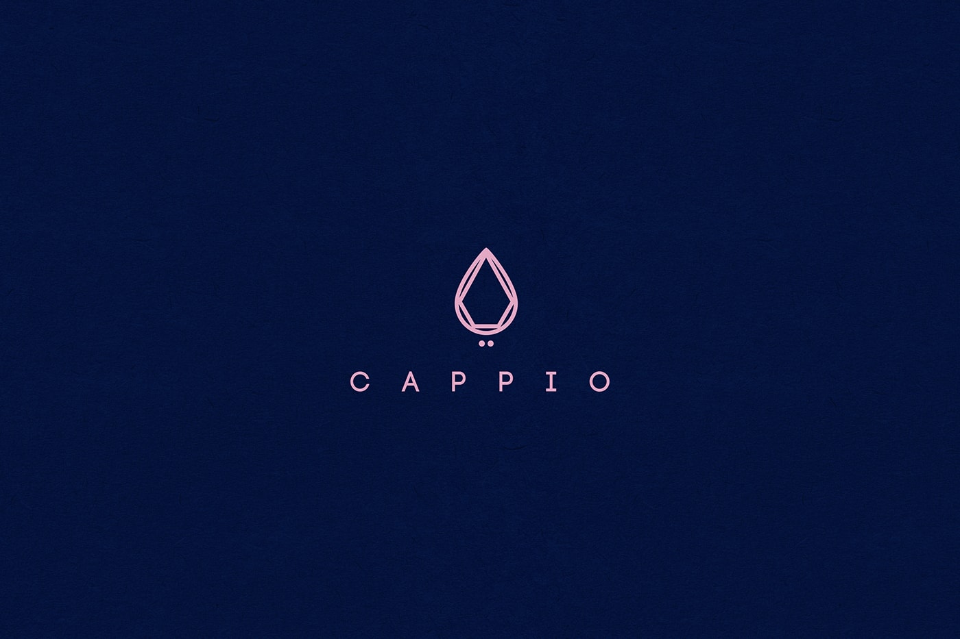 Cappio 服裝珠寶企業(yè)品牌全案策劃案例 Cappio 服裝珠寶企業(yè)品牌全案策劃案例,服裝VI設(shè)計,品牌全案策劃,企業(yè)形象設(shè)計,深圳VI設(shè)計,左右格局