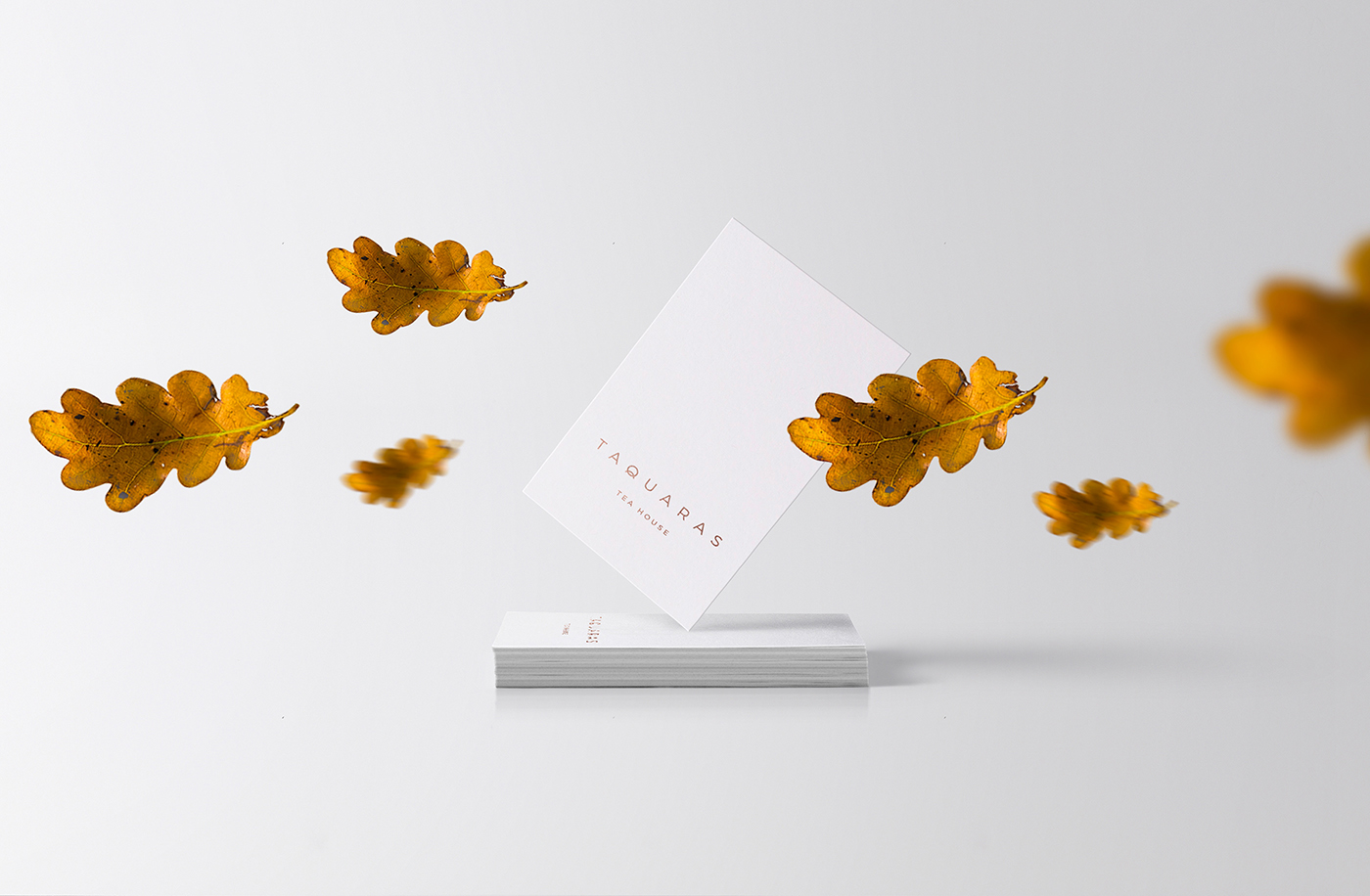 精致時尚草藥茶茶館品牌vi形象設計策劃案例 餐飲vi設計,茶館形象設計,vi設計案例,深圳vi設計,左右格局